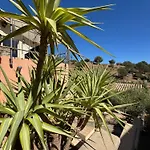 Maison Familiale 6 Personnes Dans Domaine Prive Avec Piscine