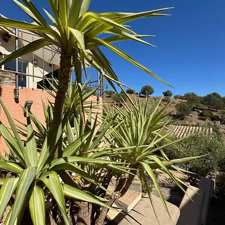 Maison Familiale 6 Personnes Dans Domaine Privé Avec Piscine